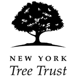 Tree Dedication